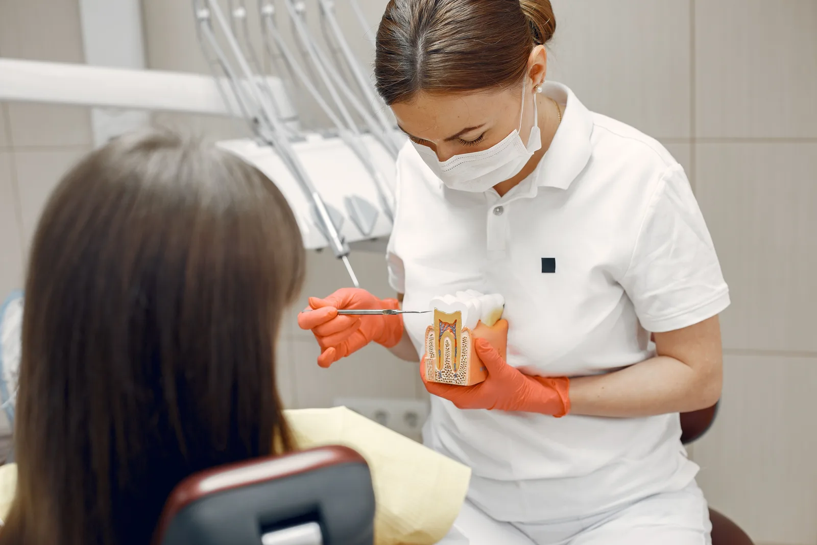 Dentist explaining a tooth model to a patient, referred to in the Sinus Lift Surgery section for Winnipeg